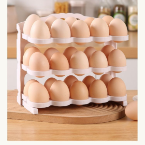 Folding Egg Storage Box