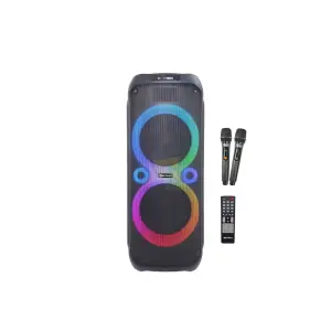 Rechargeable Outdoor Party Speakers - 12" +12" - 120W