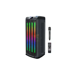 Rechargeable Outdoor Party Speakers - 10"+10" - 60W - 2810