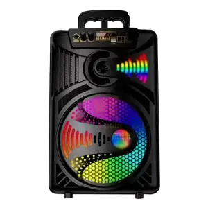 Professional Trolly Speaker 08″